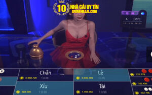 Mẹo cược xóc đĩa